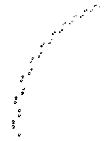 Trilha de cão —  Vetores de Stock