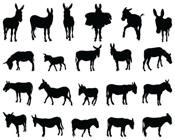 Black Silhouettes Donkeys White Background — Stock Vector