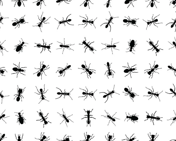 Siluetas Negras Diferentes Hormigas Sobre Fondo Blanco Fondo Pantalla Sin — Vector de stock