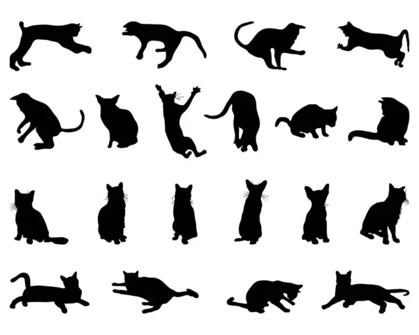 Fekete Sziluettek Macskák Egy Fehér Háttér — Stock Vector
