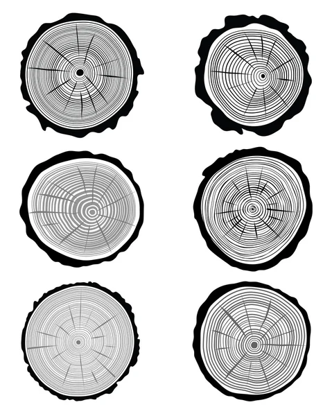 Tree rings — Stock Vector