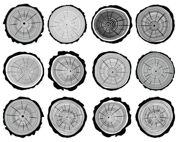 Anneaux de croissance — Image vectorielle