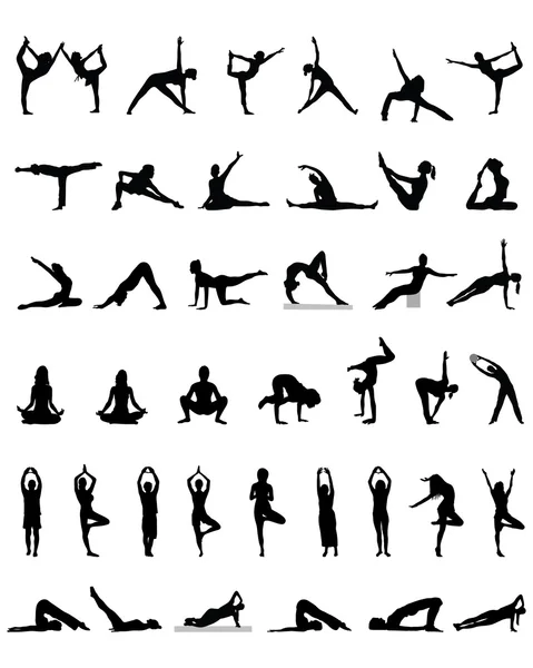 OGA ve fitness