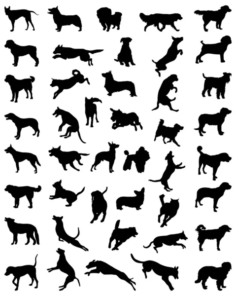 Chiens — Image vectorielle