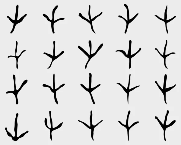 Trace d'oiseaux — Image vectorielle