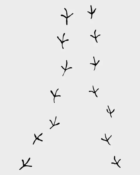 Sentier des oiseaux — Image vectorielle