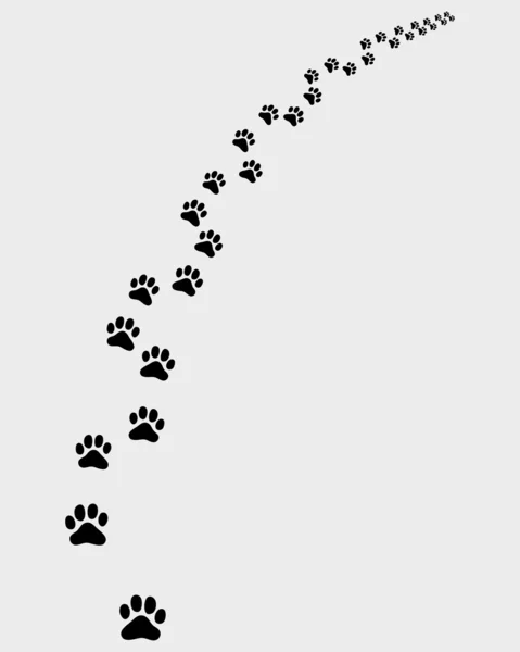Stezka kočky 2 — Stockový vektor