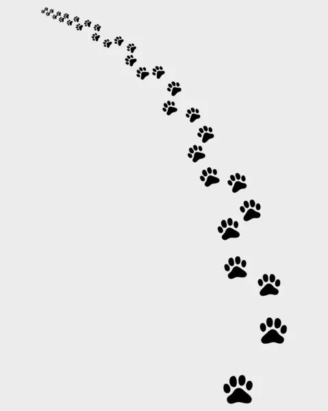 Trail кішка — стоковий вектор