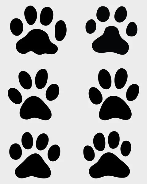 Paws of cats — Stock Vector