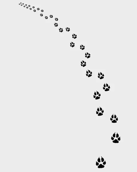 Sentier de chiens — Image vectorielle