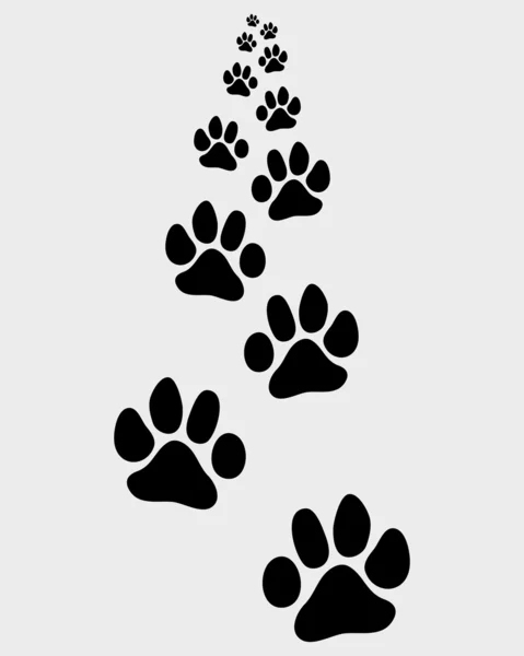 Footsteps of cat — Stock Vector