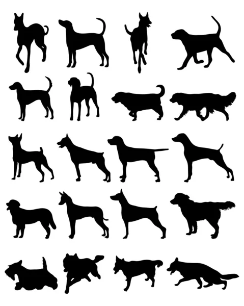Dogs — Stock Vector