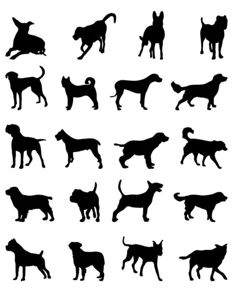 Dogs 2 — Stock Vector