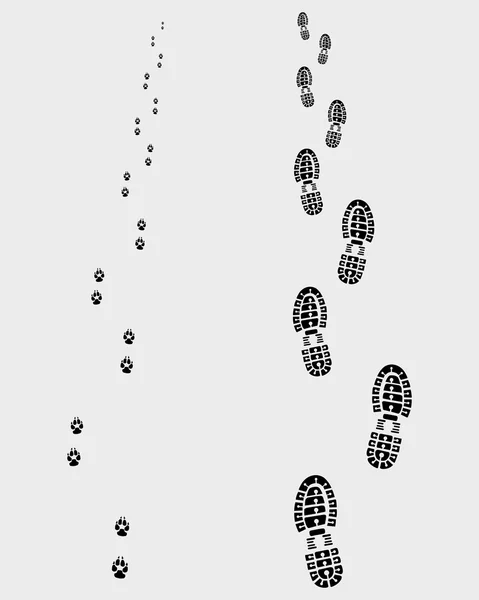 Footprints — Stock Vector