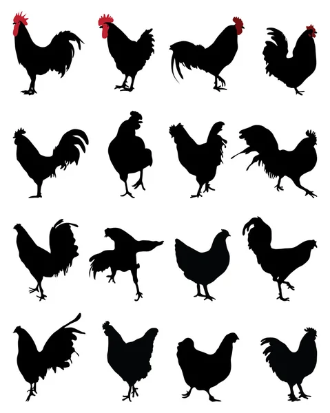 Gallos y gallinas — Vector de stock