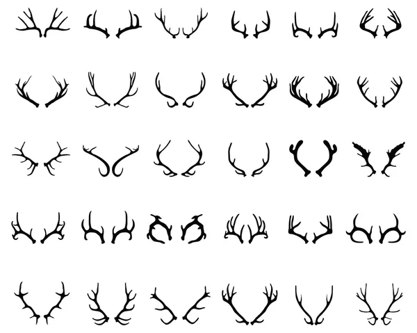 Cornes de cerf — Image vectorielle