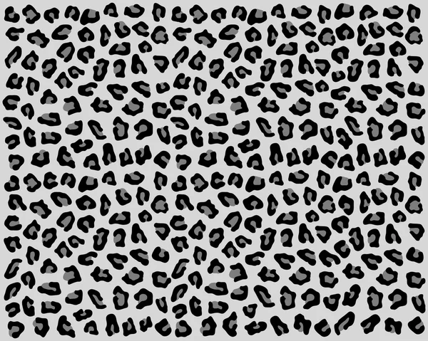 Huden på leopard — Stock vektor
