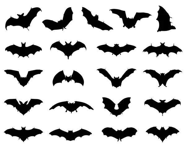 Chauves-souris — Image vectorielle