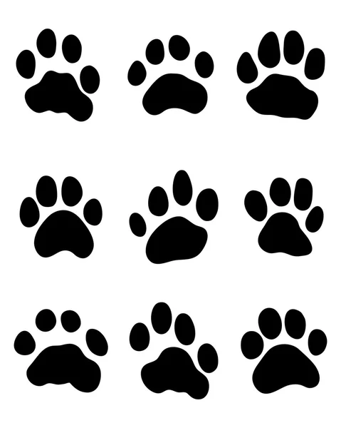 Tiger paw — Stock Vector