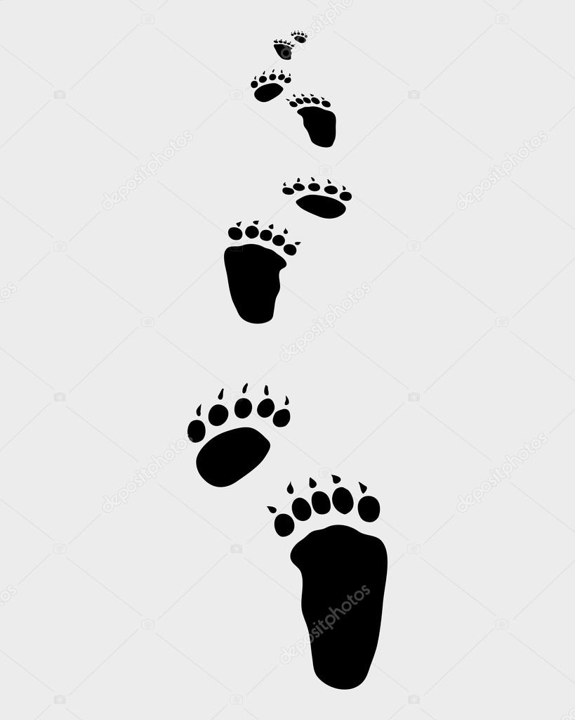 bear footsteps