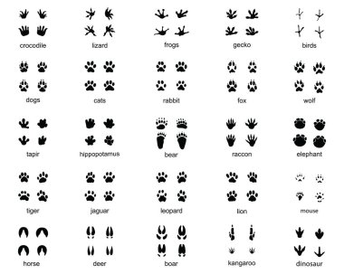 Vahşi hayvanların ayak izleri kümesi siyah siluet çizimi