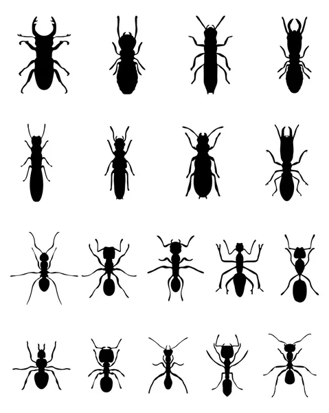 Hormigas y termitas — Vector de stock