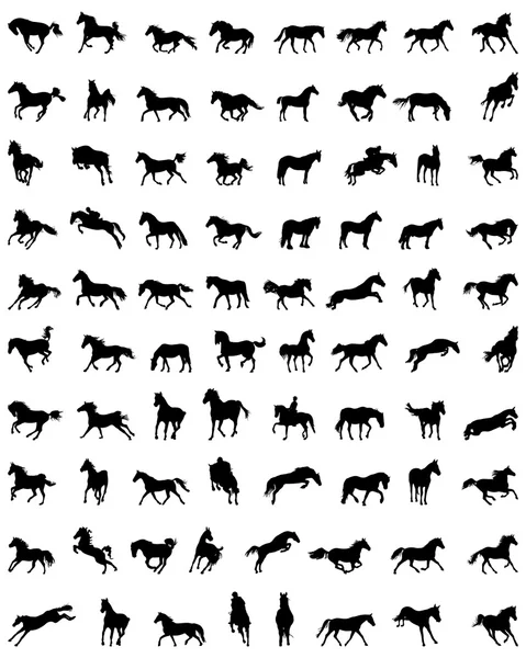 Silhouetten van paarden — Stockvector