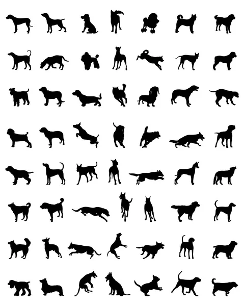 Silhouetten van honden — Stockvector