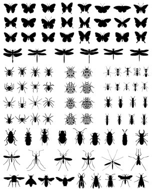 böceklerin Silhouettes