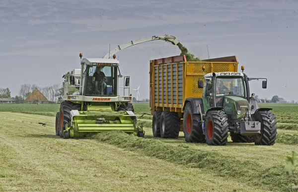 Claas chopper filling Veenhuis silage wagon — Stock Photo, Image