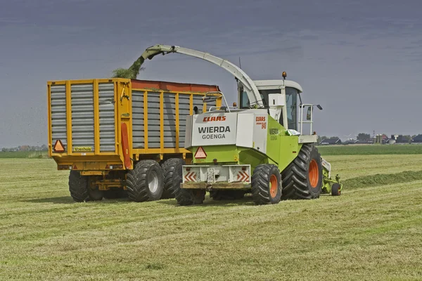 Claas chopper na łące — Zdjęcie stockowe