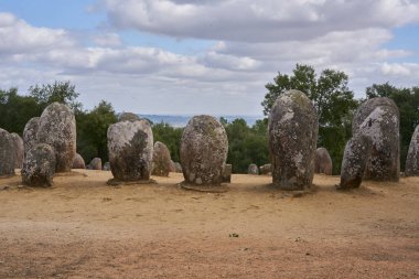 Alentejo, Portekiz 'de mantar ağaçlı Almendres megalitik taş kompleksi