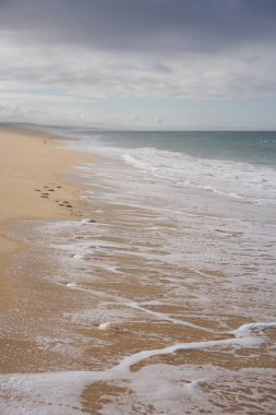 Portekiz, Comporta 'da kumların üzerinde ayak sesleri ve okyanus dalgaları olan vahşi, boş bir sahil.