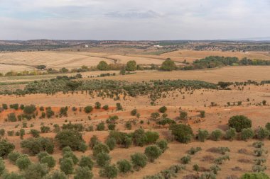 Alentejo Portekiz, Terena 'da zeytin ve mantar ağaçları ile güzel yeşil ve kahverengi manzara