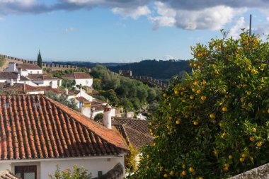 Güneşli bir günde Portekiz 'de geleneksel Obidos evleri ve sokakları
