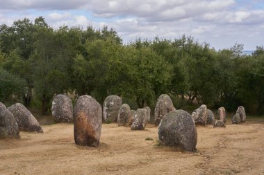 Alentejo, Portekiz 'de mantar ağaçlı Almendres megalitik taş kompleksi