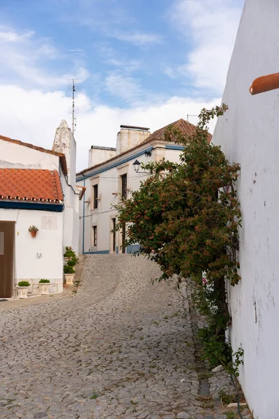 Traditionele Huizen Het Alentejo Dorp Terena Portugal — Stockfoto