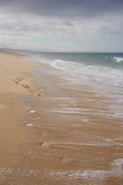Portekiz, Comporta 'da kumların üzerinde ayak sesleri ve okyanus dalgaları olan vahşi, boş bir sahil.