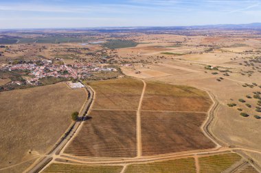 Red and yellow vineyards drone aerial top view with village on the background during summer, in Alentejo Portugal