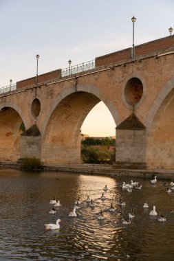 Badajoz Palmas bridge at sunset with ducks on Guadiana river, in Spain
