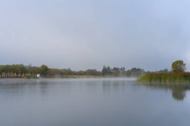 Wheat on the lake full of fog beautiful landscape reflection with blue sky with clouds on the background