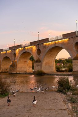 Badajoz Palmas bridge at sunset with ducks on Guadiana river, in Spain
