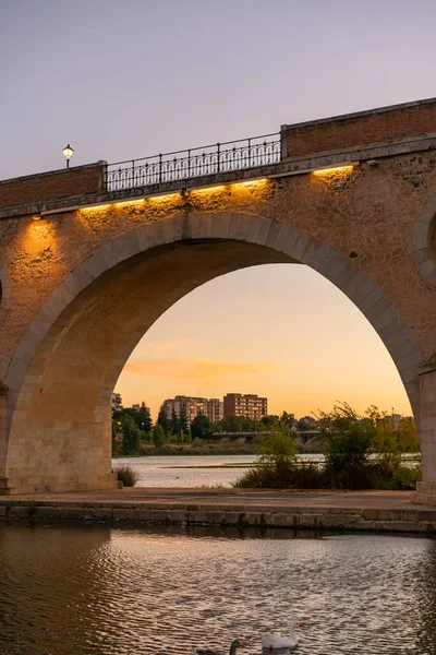 Badajoz Palmas Bridge Sunset Ducks Guadiana River Spain — Stock fotografie