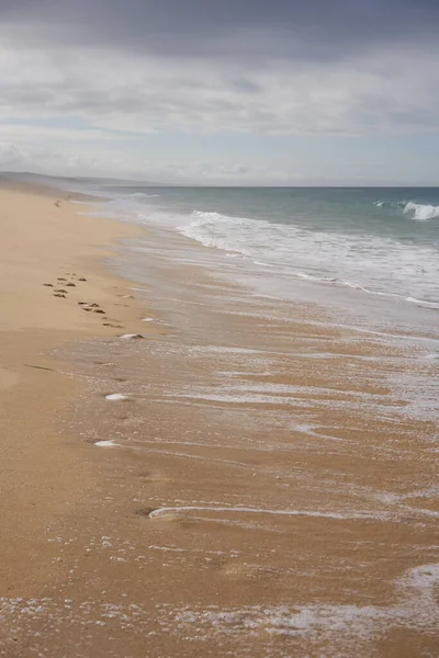 Portekiz, Comporta 'da kumların üzerinde ayak sesleri ve okyanus dalgaları olan vahşi, boş bir sahil.