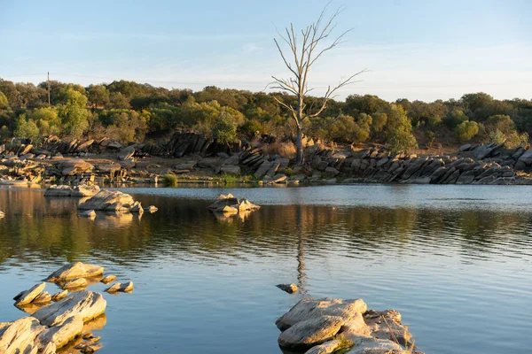 Beautiful Tree Rocks Guadiana River Summer Day Alentejo Border Portugal — Foto de Stock