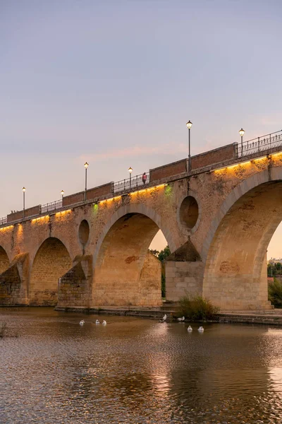 Badajoz Palmas Bridge Sunset Ducks Guadiana River Spain — Stock fotografie