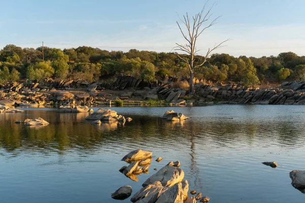 Beautiful Tree Rocks Guadiana River Summer Day Alentejo Border Portugal — Foto de Stock