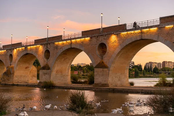 Badajoz Palmas Bridge Sunset Ducks Guadiana River Spain — Zdjęcie stockowe