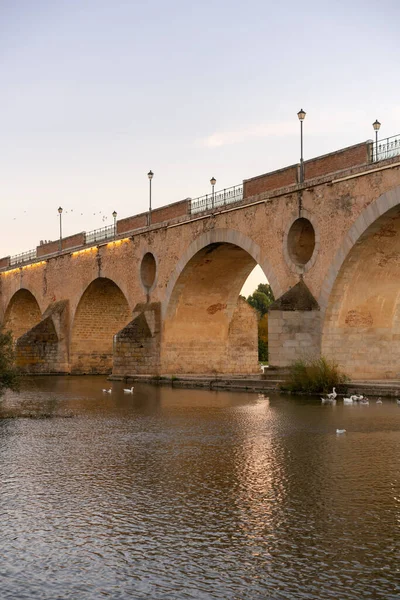 Badajoz Palmas Bridge Sunset Ducks Guadiana River Spain — Stock fotografie