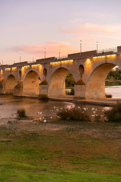 Badajoz Palmas Bridge Sunset Ducks Guadiana River Spain — Zdjęcie stockowe